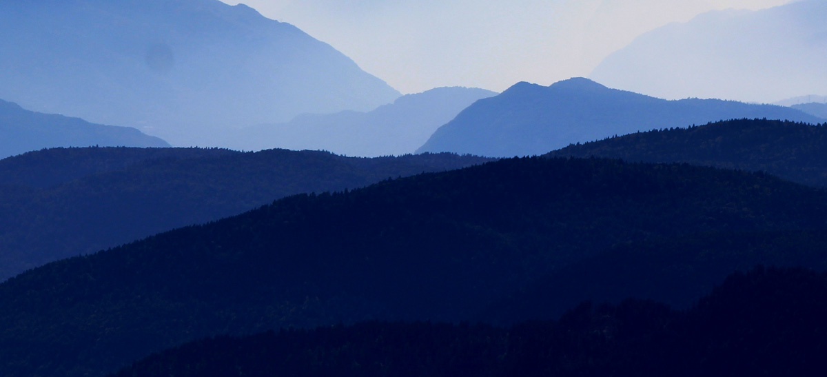 Logiciels pour avocats